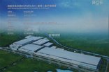 【綿陽京東方PCWB11項目】雙球美女叼嘿视频在线观看信息