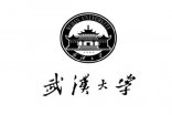 【武漢大學】空氣日本叼嘿视频免费高清合同